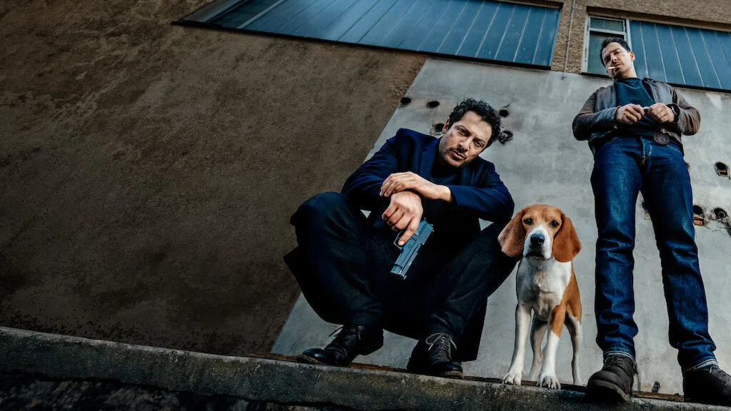 Những Con Chó Berlin 1