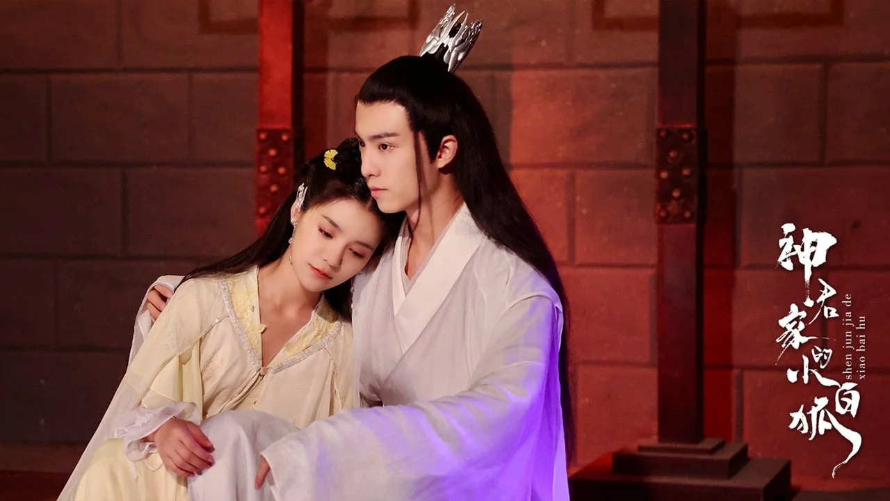 Tiểu Bạch Hồ Truy Phu