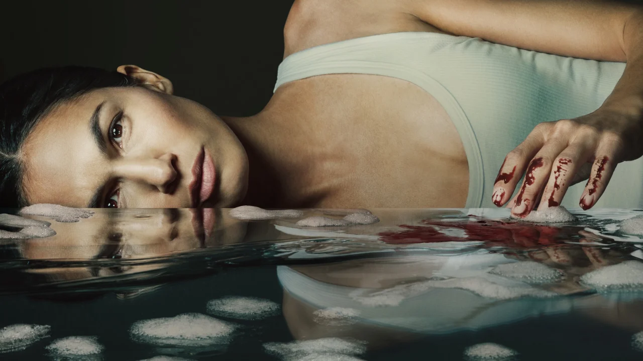 Quý Cô Giúp Việc 4